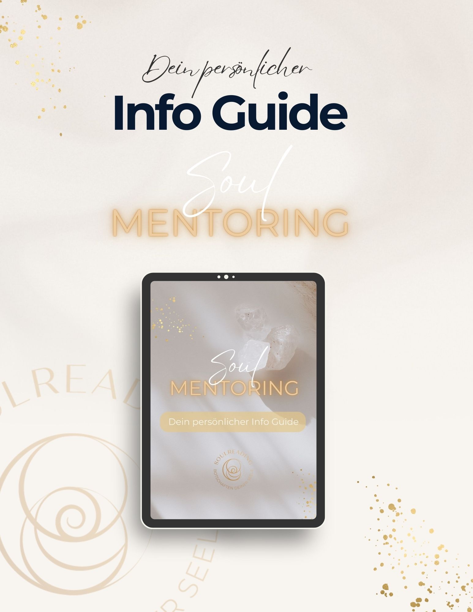 Info Guide Mentoring Programm (1) info guide